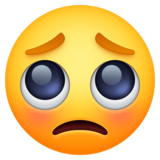 pleading